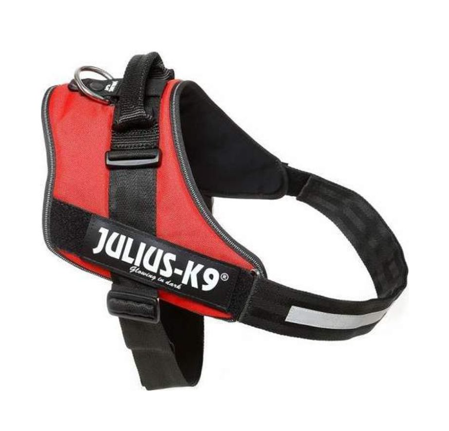 Julius-K9 IDC Sele - Röd