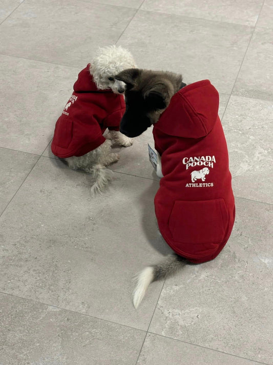 Canada Pooch Cozy Caribou Hoodie Röd